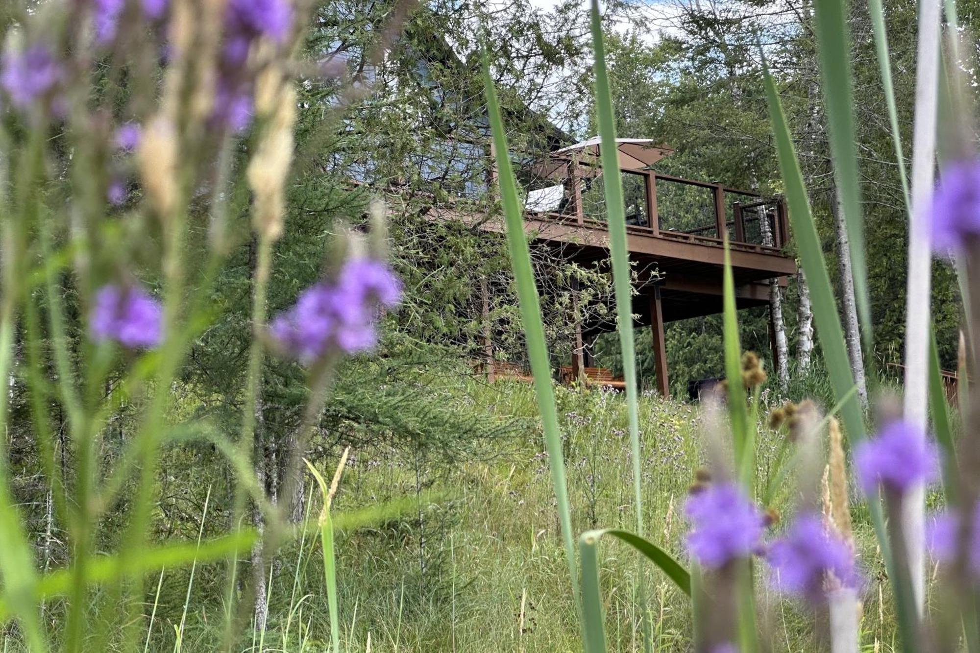 The Kingfisher Lodge Cornell Exterior photo